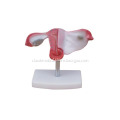 /msite/products/detail/productid/54898172/id/186332.html